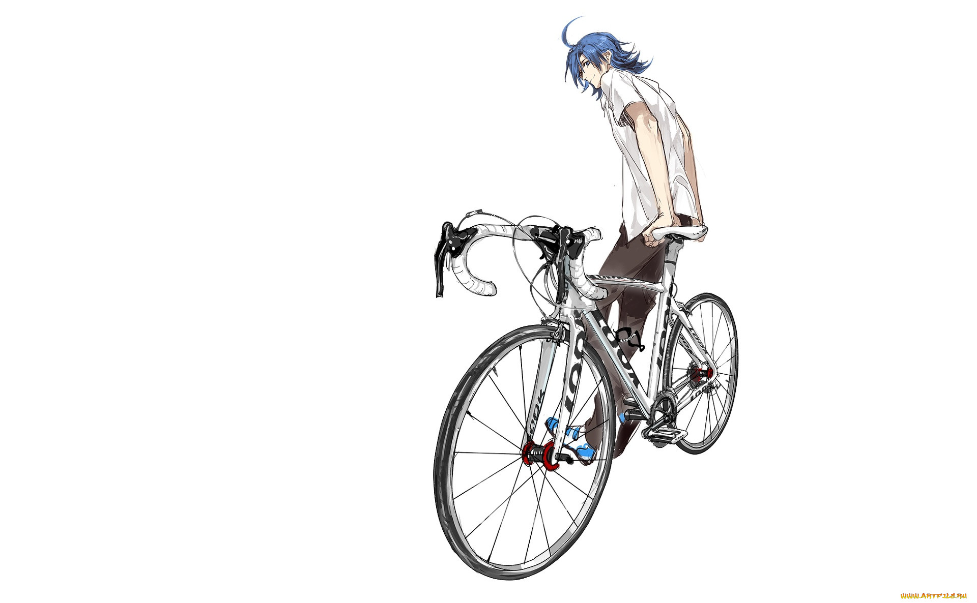 , yowamushi pedal, 